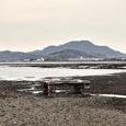 干潮の今津湾