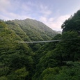 樅木の吊橋