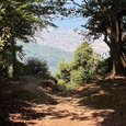 高祖山
