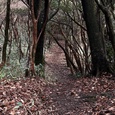 三瀬峠↔脊振山ピストン①
