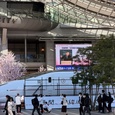 博多駅前の新幹線