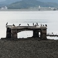 瑞梅寺川河口