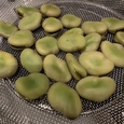 そら豆塩ゆで