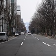 札幌大通り
