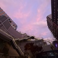 明治公園
