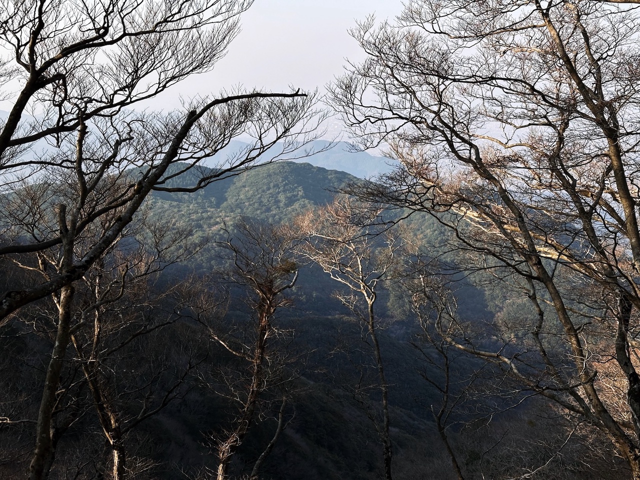 三瀬峠↔脊振山ピストン②