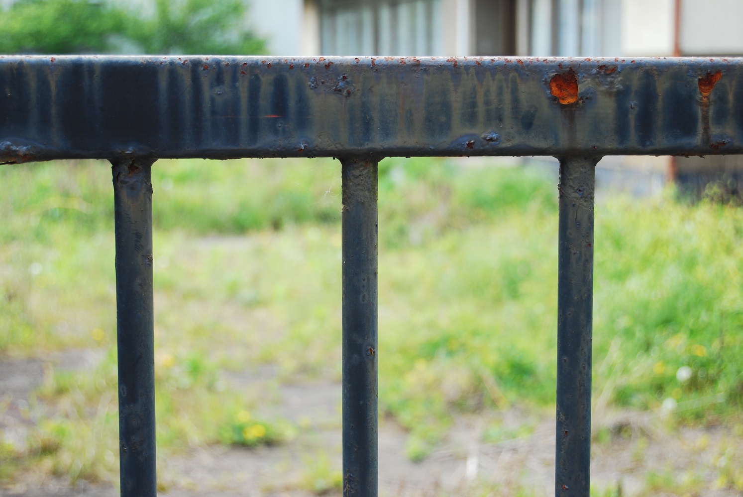 Rust