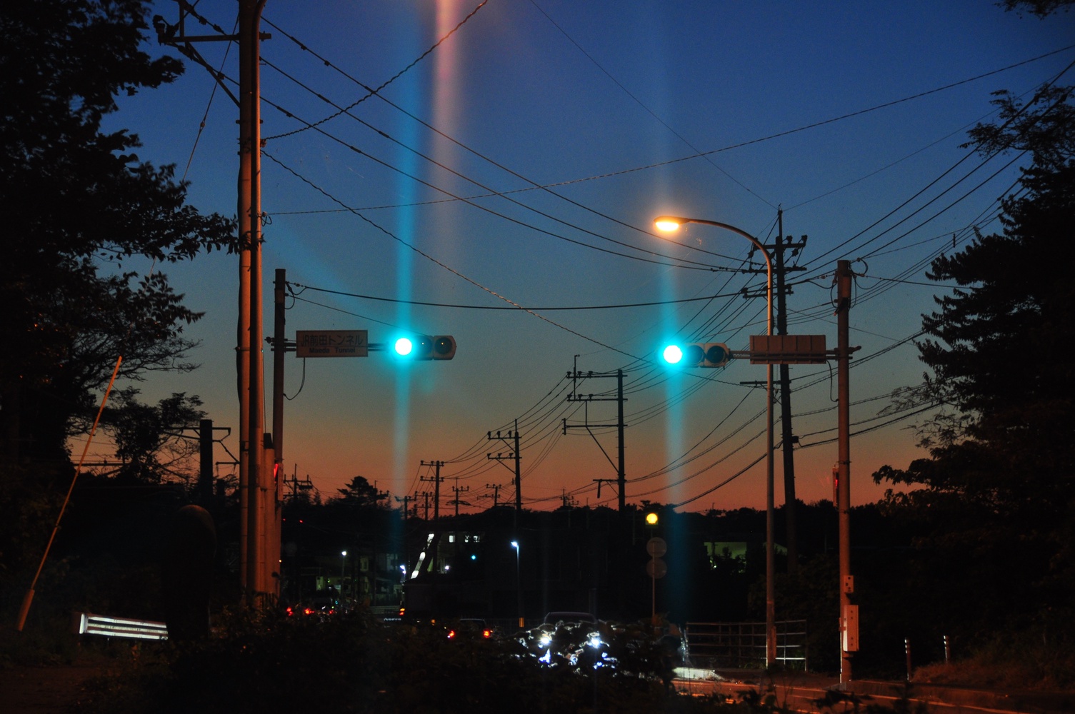 DSC_6492