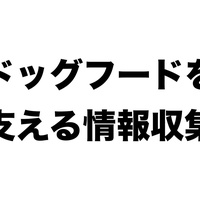 高速にドッグフードを食べる方法