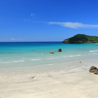  Google ããã 