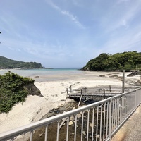  Google ããã 