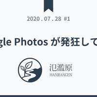 Google Photos が発狂してから - 氾濫原