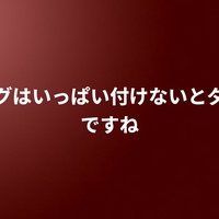 タグはいっぱい付けないとダメですね