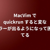 MacVim で quickrun すると変なエラーが出るようになって困ってる