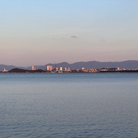 2024年マラソンシーズンの総括