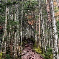 1149ebacf34e0ee8decd26630019a846