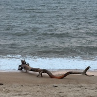 2dcbcb82af3c7bb9a3e8f92d33b6c519