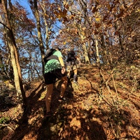 681be4ffb03cb73af1801fc2df33b9bd