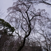 727b0149a88c3b9b3a724cd8dbdcca1b