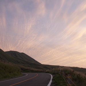 3979466963 41e73f72b4 b