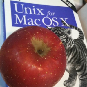 4379866227 e955e389aa