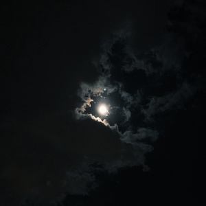 31916853630 a62c1fd0ba b