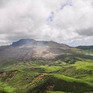 29921526357 1a39d93e21 h