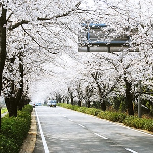 2391968587 18db315b43