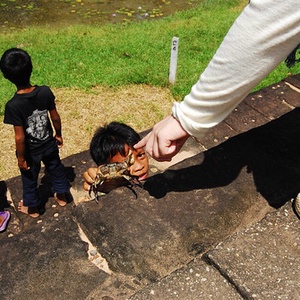 2961383836 3d3f449efc