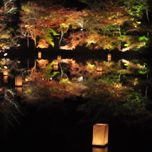 39116344152 1a76fb9898 b