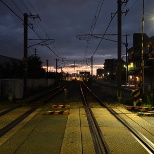 48773954861 6d838ab3b6 h