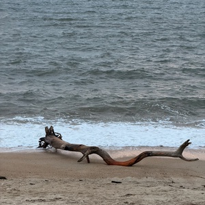 2dcbcb82af3c7bb9a3e8f92d33b6c519