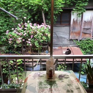 07eaf8ae637c11fce508f6a85f270c32