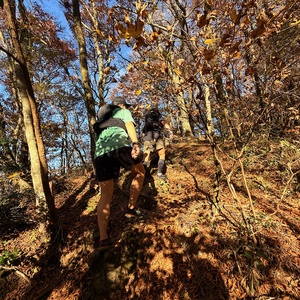 681be4ffb03cb73af1801fc2df33b9bd