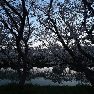 A6ebb8f8f2f50b9e3e2561450dafc3c1