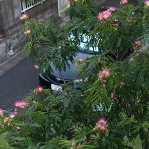 F5b979fdee08a802c7feae8a77169a70