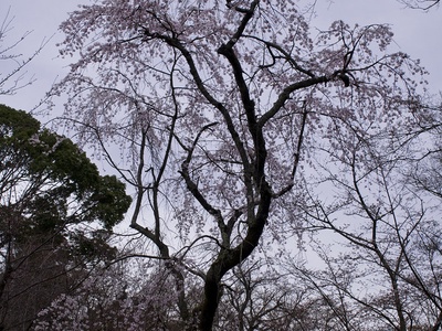 3367320795 a8f751f003 b