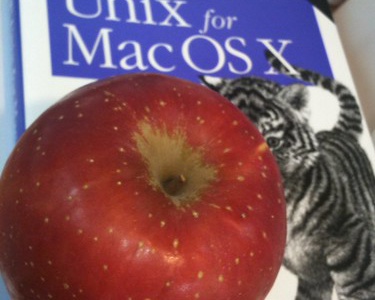 4379866227 e955e389aa