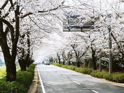 2391968587 18db315b43