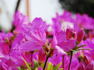 2442881920 5c62540694