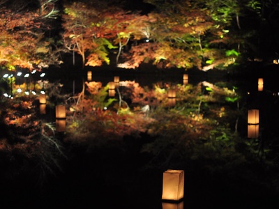 39116344152 1a76fb9898 b