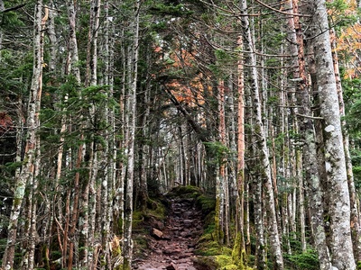 1149ebacf34e0ee8decd26630019a846