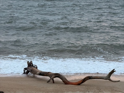 2dcbcb82af3c7bb9a3e8f92d33b6c519