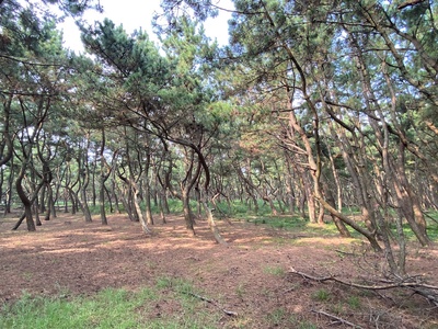 226c03997a925f39a204754f2b30e1ab