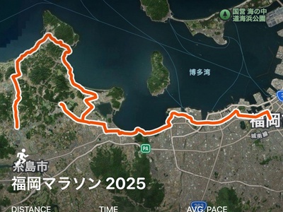 44c35ffbe9da5037071bd3e93cc0a909