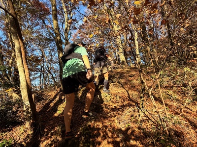 681be4ffb03cb73af1801fc2df33b9bd