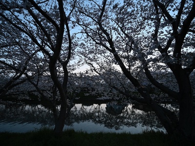 A6ebb8f8f2f50b9e3e2561450dafc3c1