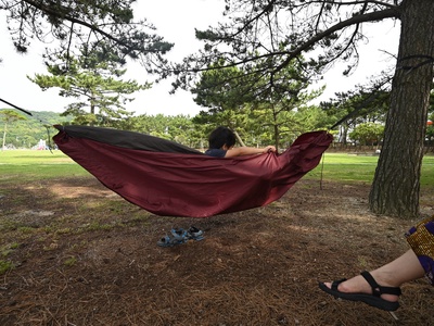 Abdd2a29b15312983a52240f160e8808