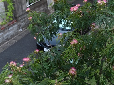 F5b979fdee08a802c7feae8a77169a70