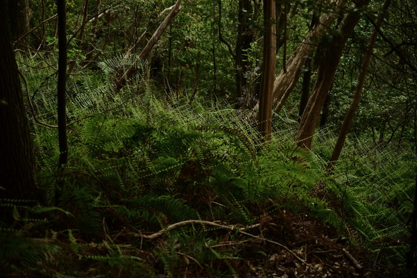 0b0a1dac708328206106a4713315c9af